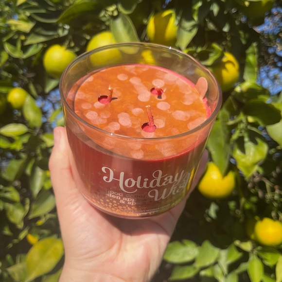 Holiday Wish Good Cheer Golden Apples and Spice Bath and Body Works Candle - Picture 2 of 7